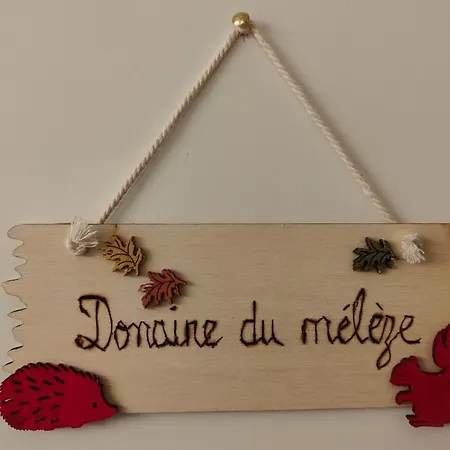 Domaine Meleze, Proche Des Thermes * Bains-les-Bains